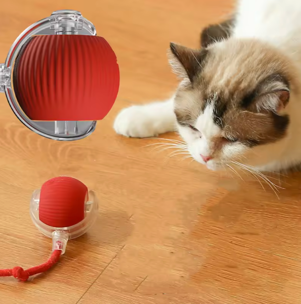 RoboRoll™ Cat Ball
