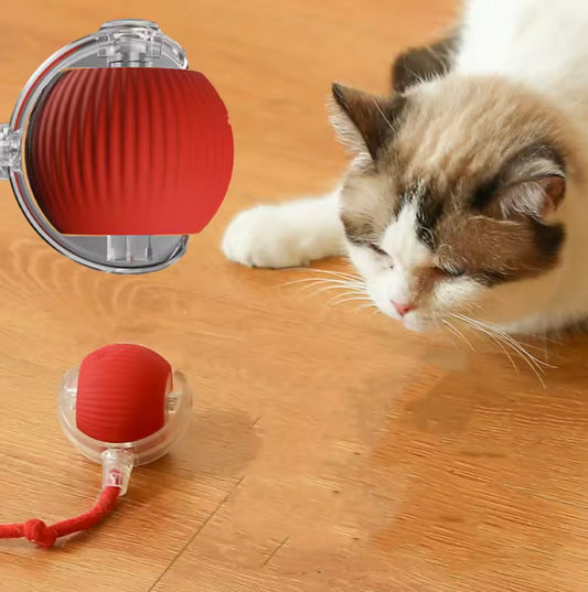 RoboRoll™ Cat Ball