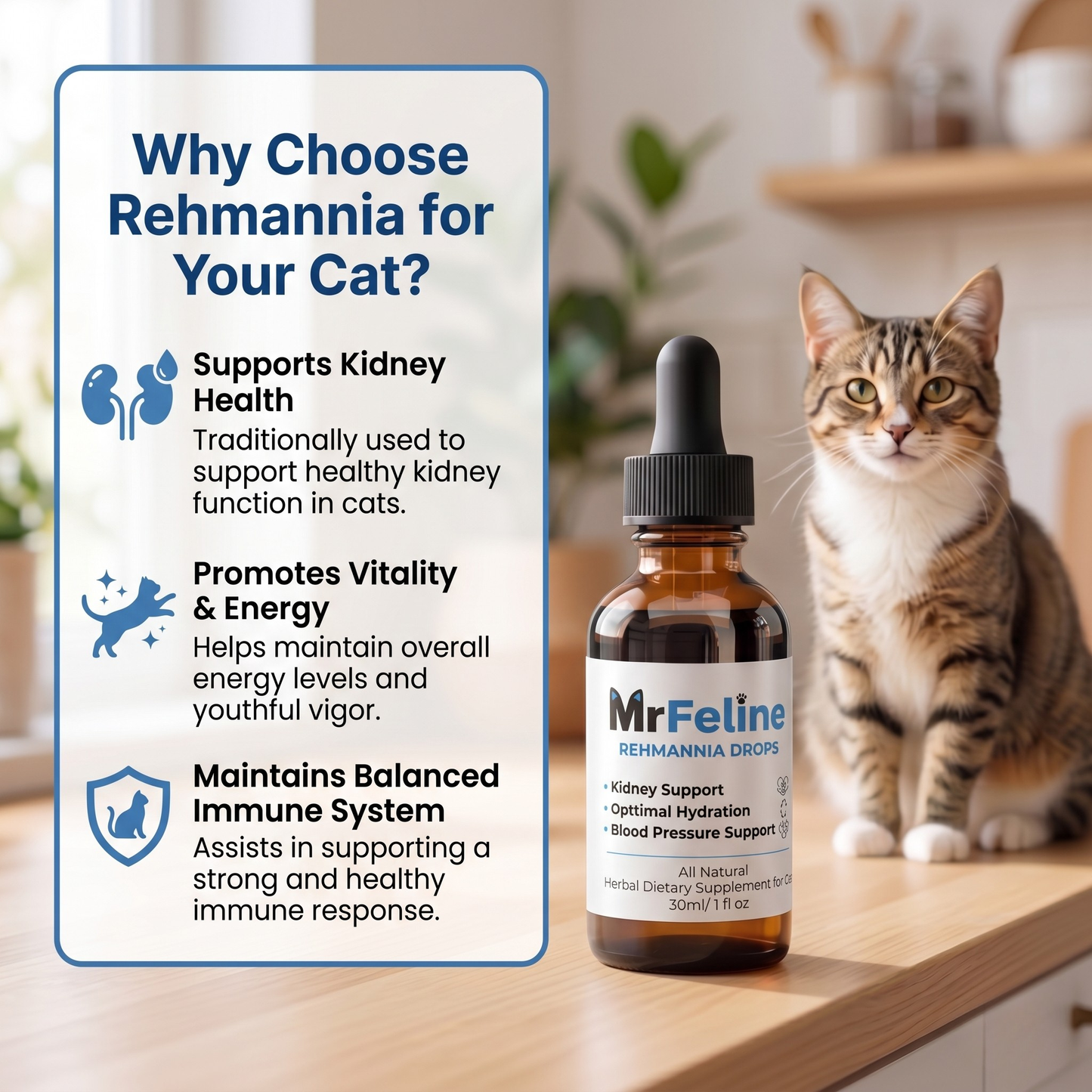 MrFeline Rehmannia Drops™️