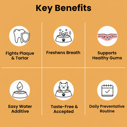 MrFeline Dental Droplets